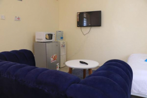 Well furnished studio apartment
